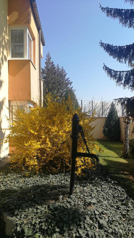 Hotel Tulipan Prŭhonice Exterior foto